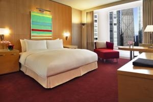 Hotel Sofitel Chicago Water Tower- 25 rooms (*)
